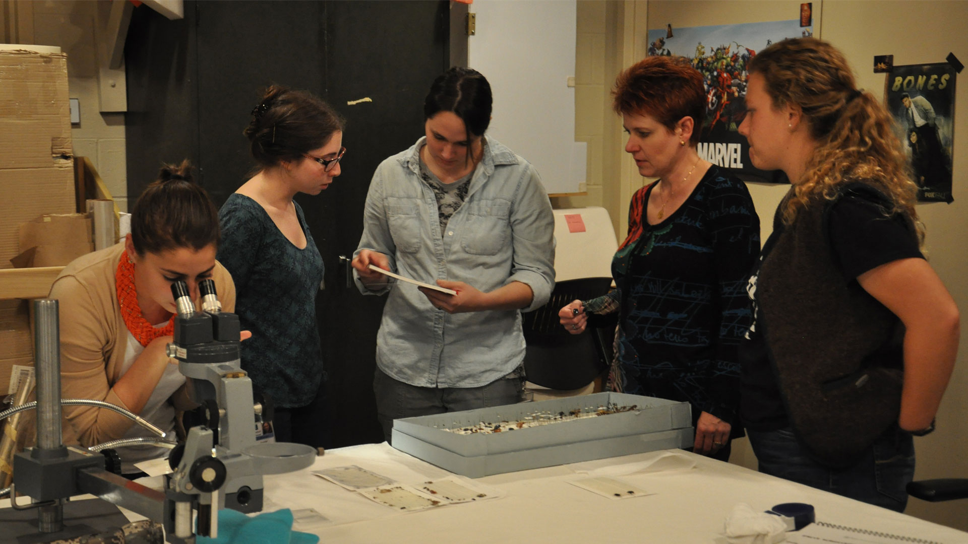 Five collections staff members gathered around a table reviewing some of our collections